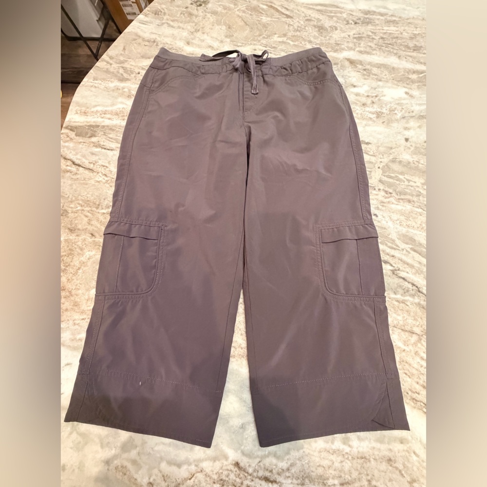 Intro Taupe Satin Panel Pants Stretch Elastic Waist Size 10